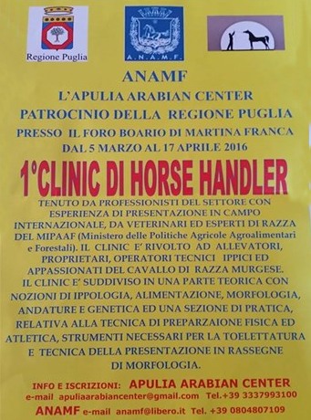 clinic-horse-handler2